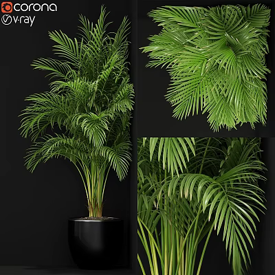 Elegant Garden Decor With Various Lush Green Palm Leaves And Potted Plants 3d model