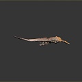 Dinosaur Jurassic Pterosaur Long-necked Tyrannosaurus Tyrannosaurus Stegosaurus Bretosaurus Triceratops Shark Toothosaurus Ancient Animals 3d model