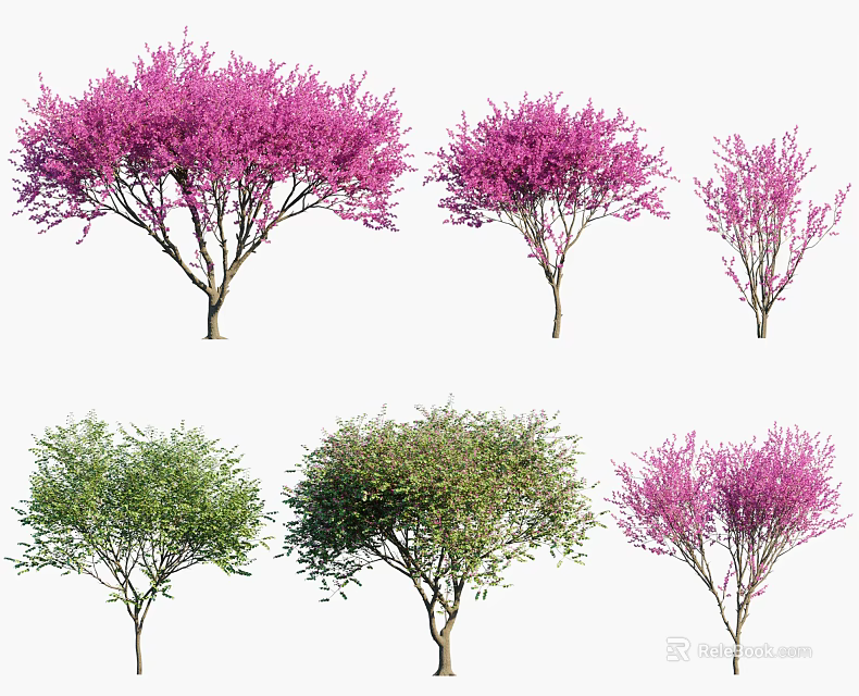 Various Types of Trees With Pink and Green Foliage in Different Shapes and Sizes 3d model 