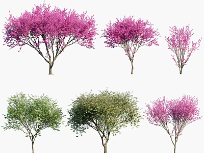 Various Types of Trees With Pink and Green Foliage in Different Shapes and Sizes 3d model