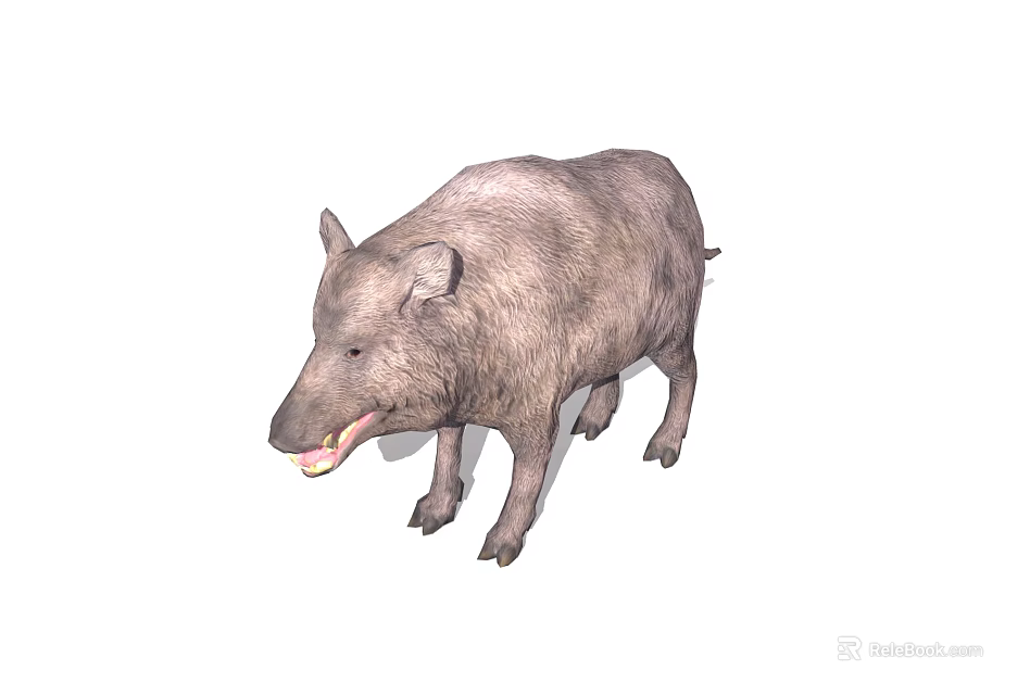 Wild Boar Displaying Shaggy Fur Open Mouth And Standing Posture In Natural Habitat 3d model 