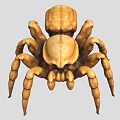 spider reptile crawling pet insect 3d model