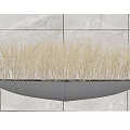 Yellow Grass Plants Arranged On Black Curved Shelf With Gray Marble Wall And Under Lighting