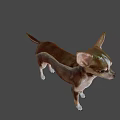 Game and Movie Character Chihuahua in Brown and White Standing Pose on Green Background