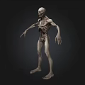 3D Skeleton Humanoid Figure With Detailed Bones Standing On Dark Background 3d model
