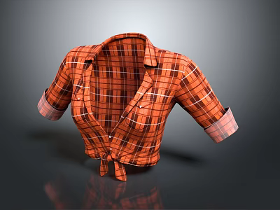 Stylish Orange Plaid Cropped Short Sleeve Collared Shirt With Tie Front And Striped Cuffs 3d model