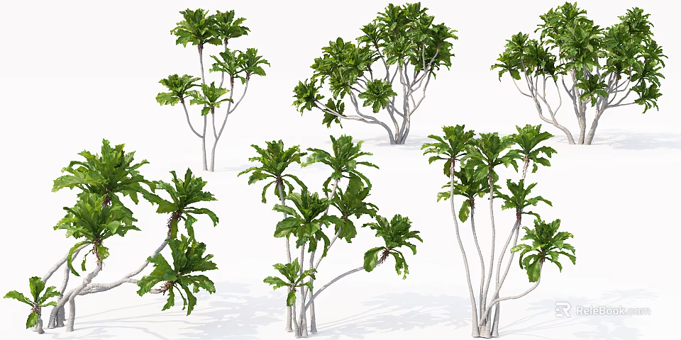 Lush Green Arborescent Trees With Multiple Slender Trunks And Diverse Foliage Patterns 3d model