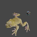 Green Frog With Stretched Legs And Colorful Rubik's Cube On Gray Background
