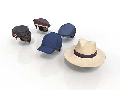 Assorted Stylish Hats For Everyday Use Including Caps And Straw Designs 3d model