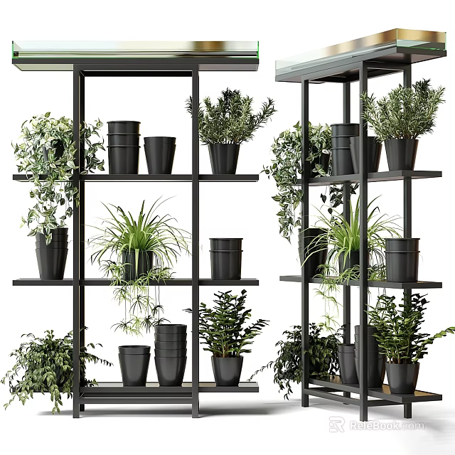 Various Bonsai Potted Plants Arranged On Black Metal Shelves Indoors 3d model 