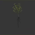 Plant Organ Structure With Root Hairs Yellow Flowers Stem And Leaves