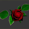 Red Rose Plant With Green Stem Fresh Leaves On Gray Background