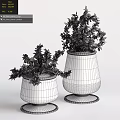 Two Decorative Potted Plants in Yellow Ceramic Pots with Green Foliage and Small Yellow Fruits