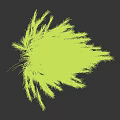 Elegant Ornamental Grass With Green Foliage And Silver White Feathery Blades On Dark Background