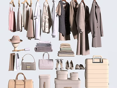 Hanging and Folded Clothes with Hats Bags Shoes Suitcase and Storage Boxes 3d model