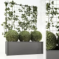 Spherical Green Potted Plants in Gray Container with Grid Background and Climbing Vines
