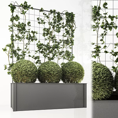 Spherical Green Potted Plants in Gray Container with Grid Background and Climbing Vines 3d model