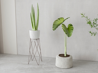 modern green plant potted plant 3d model