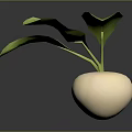 Fresh White Round Root Vegetable with Green Leaves on Dark Background 3d model