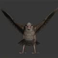 Small Bird With Spread Wings Standing On Black Surface Showing Reflection 3d model