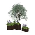 Bonsai Plant Decorative Display With Square Planters Purple Flowers And Green Foliage