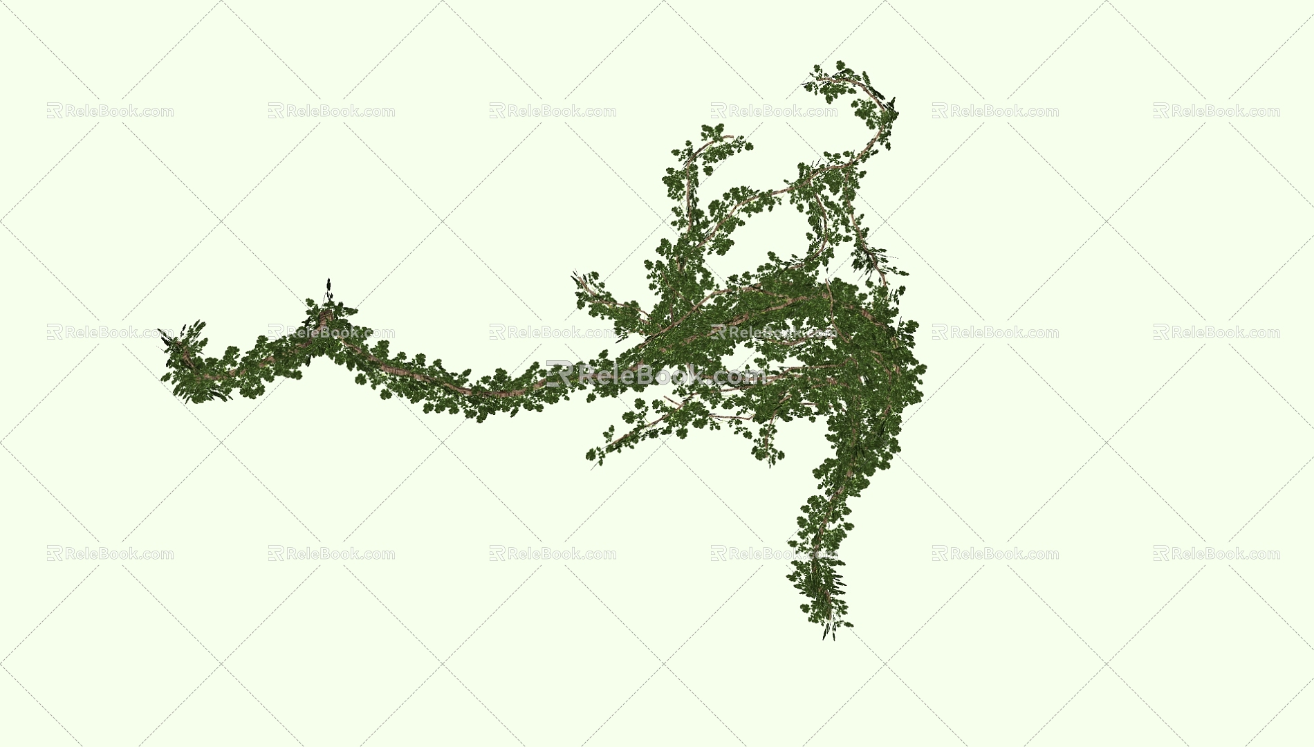 Vine 3d model