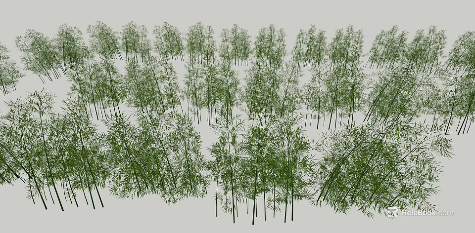 Lush Bamboo Grove with Tall Green Stems and Dense Foliage in Natural Setting 3d model 