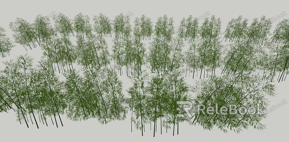 Landscape Plants Bamboo model