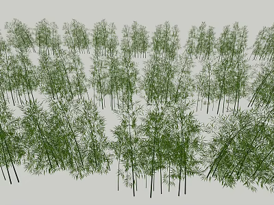 Lush Bamboo Grove with Tall Green Stems and Dense Foliage in Natural Setting 3d model
