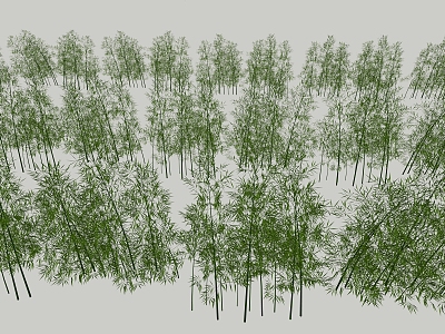 Landscape Plants Bamboo model