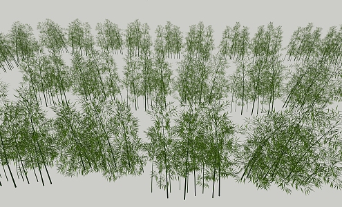 Landscape Plants Bamboo 3d model