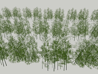 Landscape Plants Bamboo 3d model