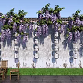 Blooming Wisteria Vines Over Ancient Wall With Hanging Lanterns And Wooden Chairs On Stone Pavement