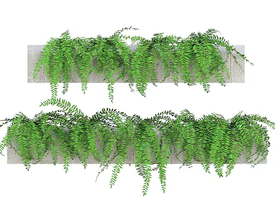 Decorative Lush Green Vines Trailing From Concrete Shelves With Dense Foliage 3d model