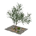 Landscape tree courtyard sketch stone 3d model