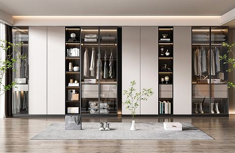 Modern wardrobe combination 3d model