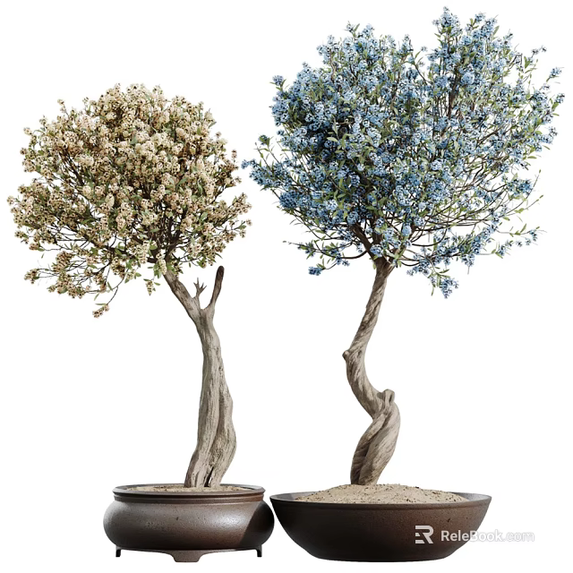 Two Bonsai Trees With Twisted Trunks And Colored Flowers In Sandy Pots 3d model 
