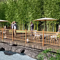 Serene Waterfront Landscape with Wooden Deck Sun Umbrellas and People Relaxing by Bamboo Grove