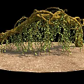 Natural Root Arch With Hanging Green Vines On Gravel Ground For Garden Decor