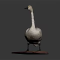 Realistic White Swan Standing on Brown Wooden Base Against Gray Background