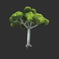 3D Model of Arbor Tree with Green Foliage Branchy Trunk and Root System