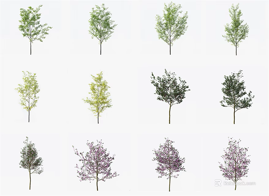 Diverse Arbor Trees Displaying Various Leaf Colors And Foliage Shapes 3d model