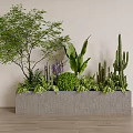 Rectangular Concrete Planter with Purple Flowers Cacti and Green Plants in Modern Indoor Space