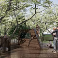 Scenic Park Landscape with Playground Wooden Climbing Slide Children Playing and Green Trees