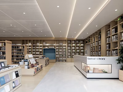 Book Art Display In Central Library With Modern Shelves And Artistic Books 3d model