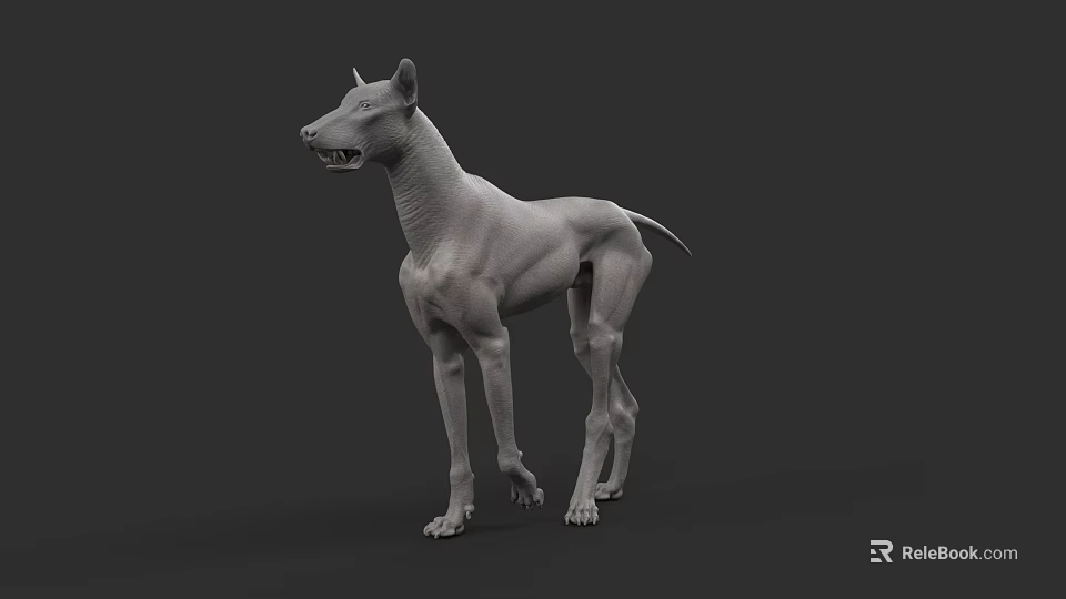 3D Dog Model In Standing Pose With Detailed Muscular Structure 3d model
