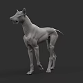 3D Dog Model In Standing Pose With Detailed Muscular Structure 3d model