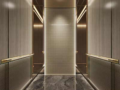 Elegant Modern Elevator Lobby Interior With Marble Floors And Gold Accents 3d model