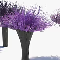 Purple Shrub Like Plants With Green Stems Grouped Together In Cluster