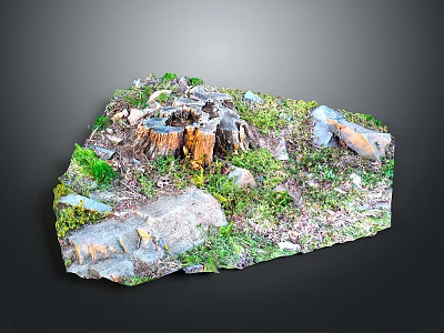Natural Woodland Scene Component With Tree Stumps Stones And Green Grass 3d model